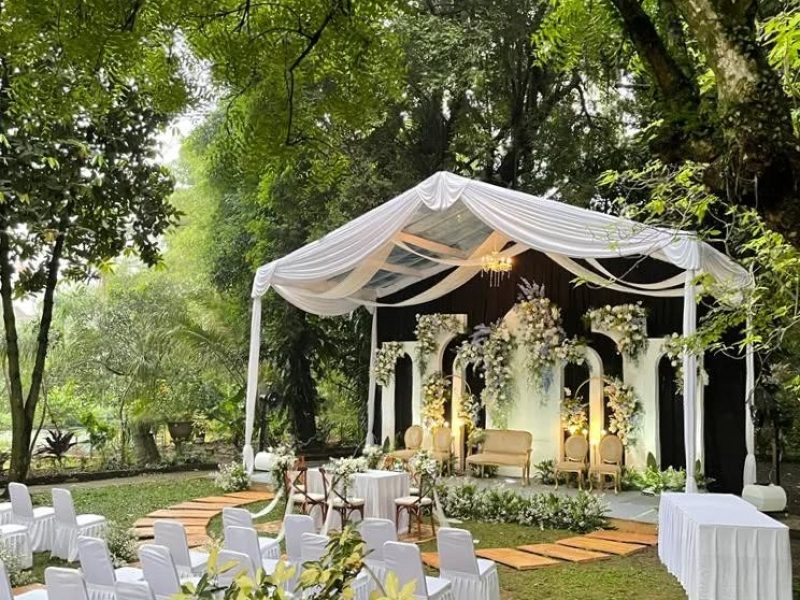 #tendatransparan #tendatransparant #tendatransparantgelombang #sewatendatransparan #sewatendatr (3)